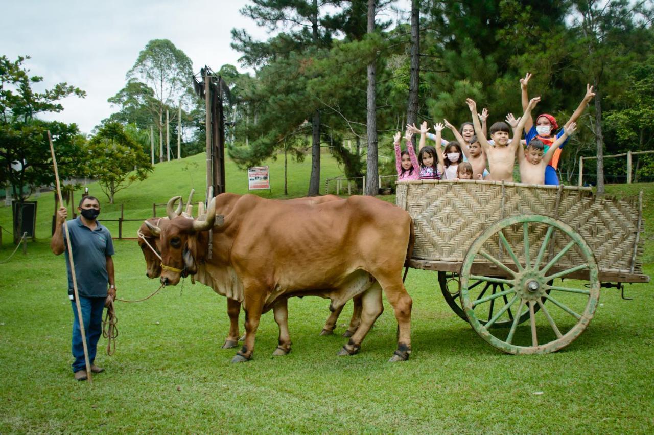 Hotel Fazenda Chiminelli Cachoeiras de Macacu Exteriér fotografie